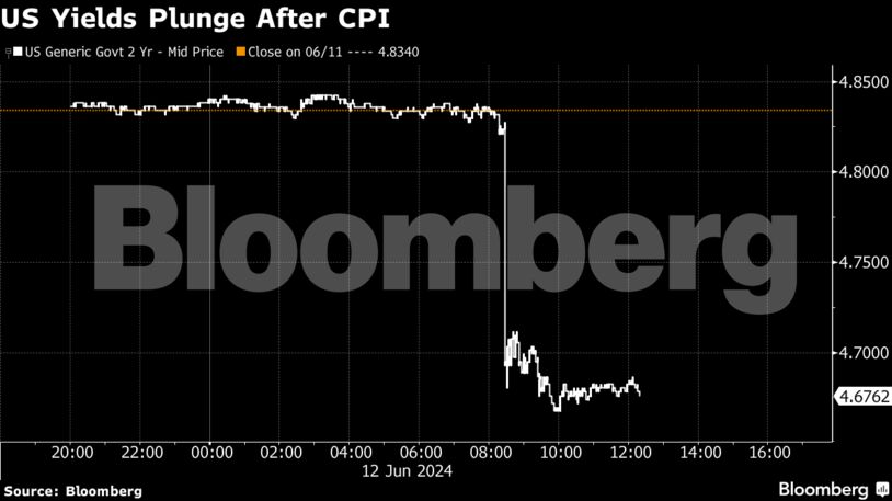 US Yields Plunge After CPI
