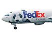 Air-Freighting Animals: A Most Lucrative Game