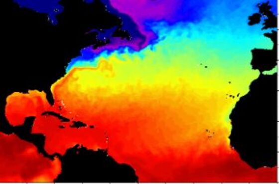 Warmest Oceans on Record Adds to Hurricanes, Wildfires Risks