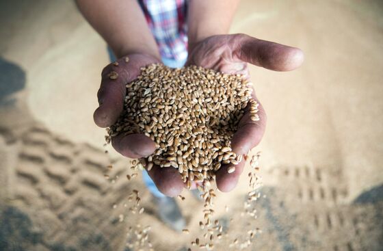 Making Seeds to Withstand Climate Change Is Getting Harder