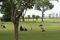 A $260,000 Golf Club Membership Is Singapore's Hot Pandemic Investment