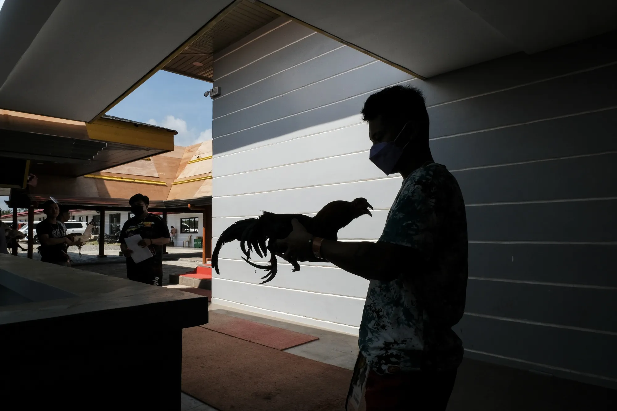 A breeder holds a rooster before a match in Batangas, the Philippines.