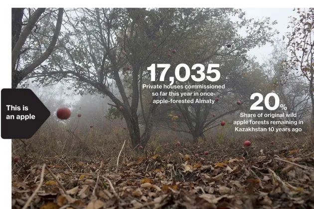 An Apple Crisis in Kazakhstan