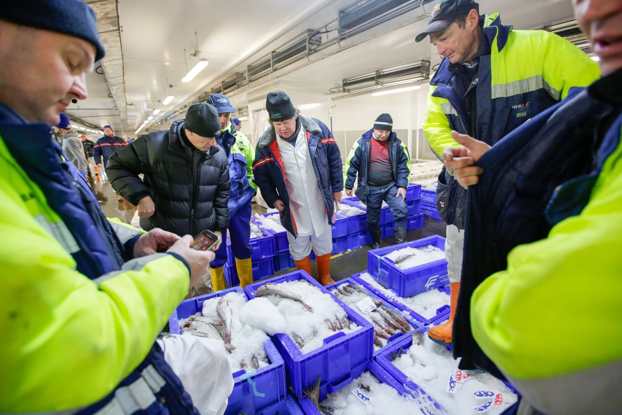 Fishmongers gather around for the haddock sale at Peterhead Fish Market.