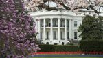 The South Lawn of the White House adorned in Spring blossoms in Washington, DC, April 15, 2015.
