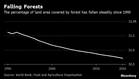 Europe Criticized for Not Doing Enough to Slow Deforestation