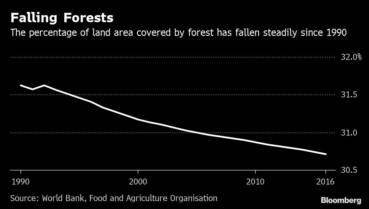 Europe Criticized for Not Doing Enough to Slow Deforestation