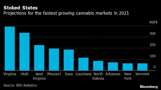Bigger Isn’t Always Better For Cannabis Companies Trying to Survive Pandemic