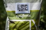 Syngenta AG Crops And Seeds Following China National Chemical Corp. $43 Billion Takeover