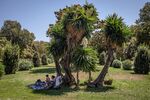 A family shelters in the shade of a tree at Ciutadella Park, part of Barcelona’s Climate Shelter Network (CSN), where residents can take shelter during extreme heat, in Barcelona, Spain, on Wednesday, Aug. 3, 2022.&nbsp;