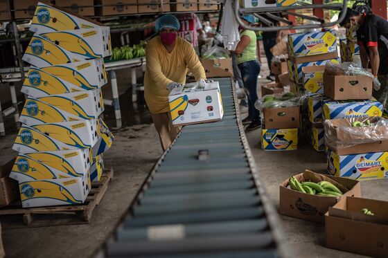 Disease Is Ravaging the $25 Billion Banana Industry