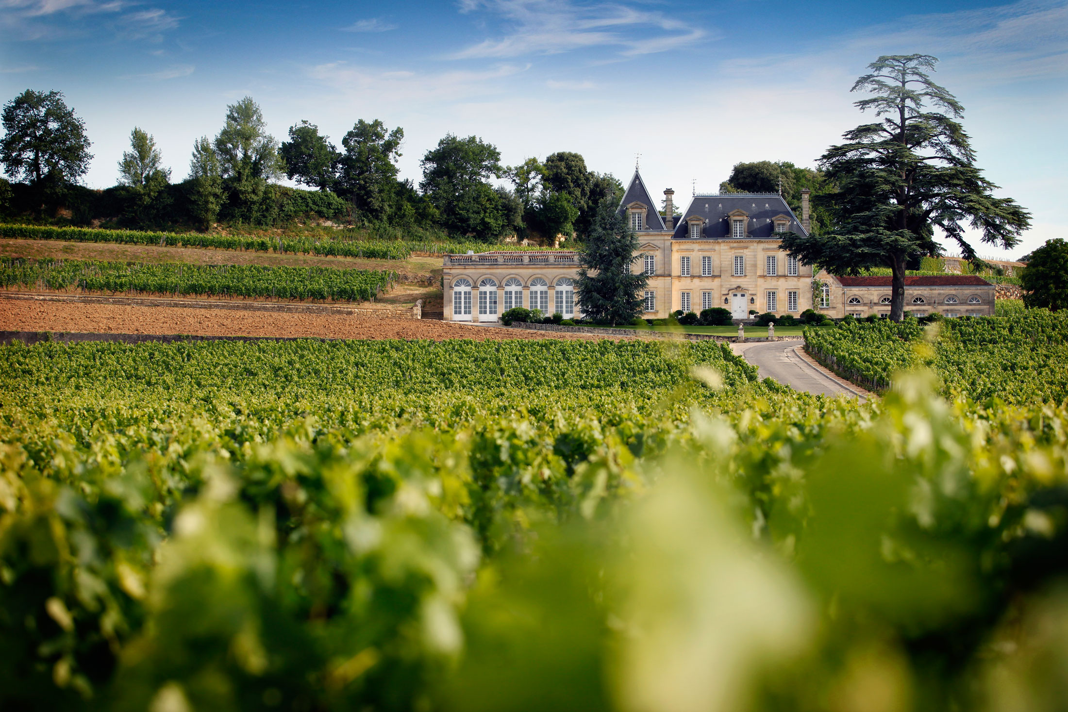 How to Buy a Bordeaux Château - Bloomberg