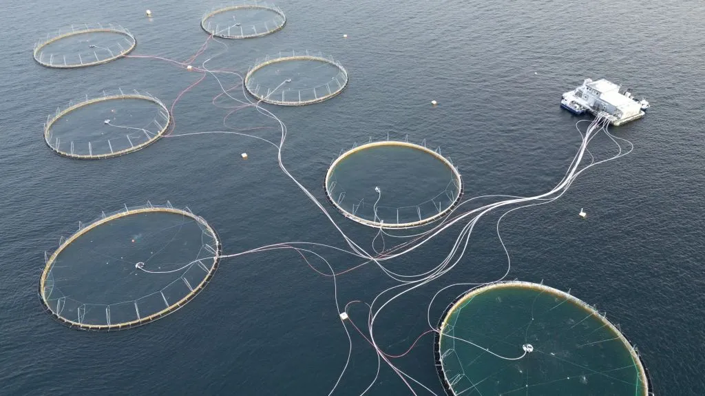 Salmon farming in Norway.