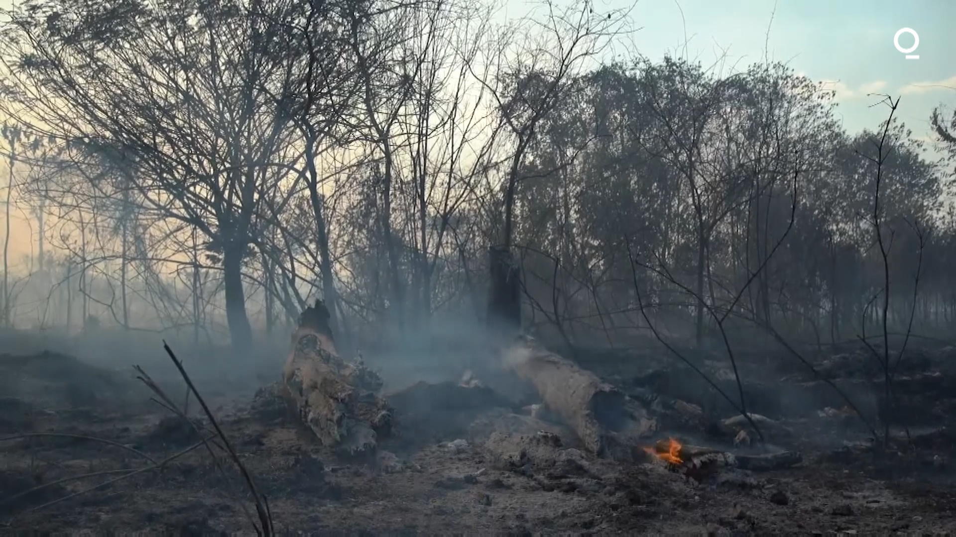 Watch Environmental Justice in Brazil Bloomberg