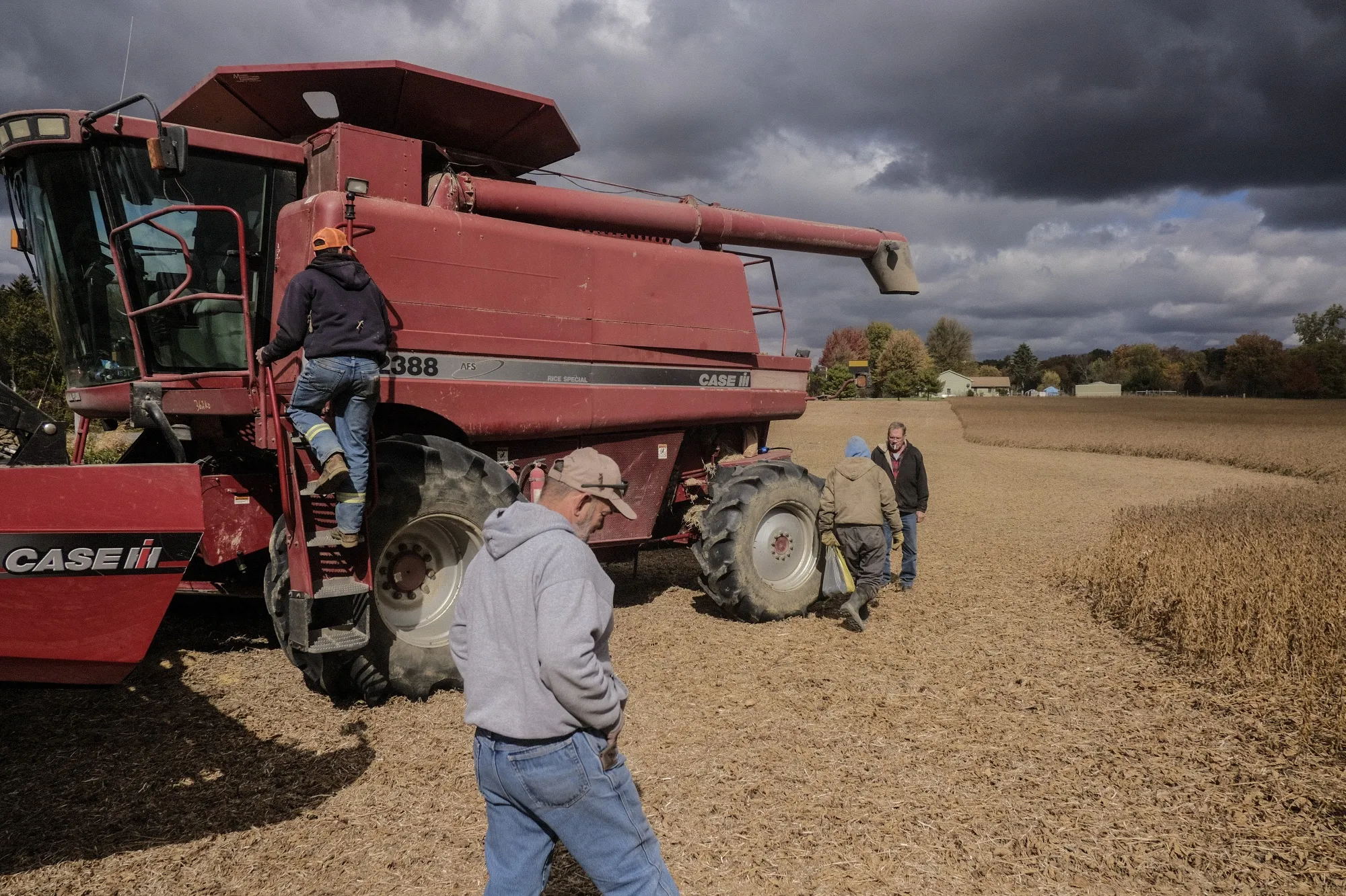 Harvewsat at a soybean field in Waynesfield, Ohio.&nbsp;