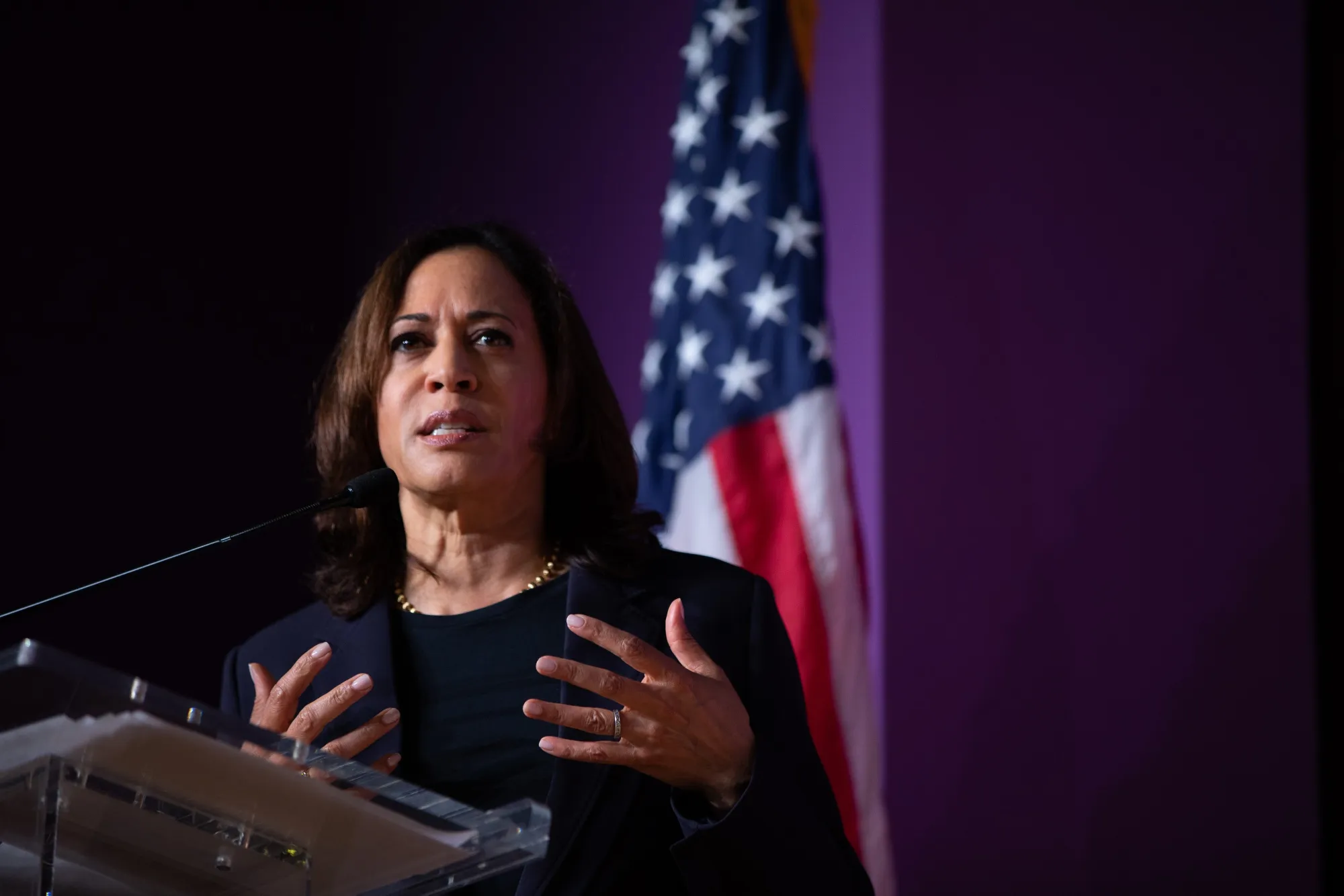 Kamala Harris speaks in Columbia, South Carolina on Oct. 26.