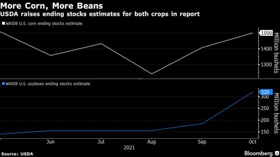 Record U.S. Soy Crop, Bulging Reserves Point to Inflation Relief