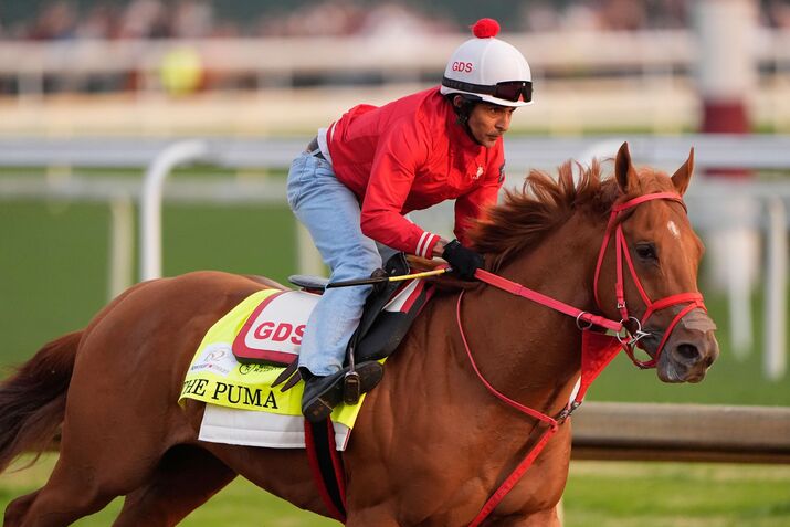 A 10-1 Shot Looms Large in Kentucky Derby: David Papadopoulos