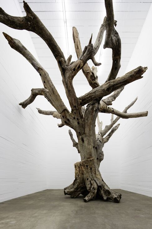 'Tree'