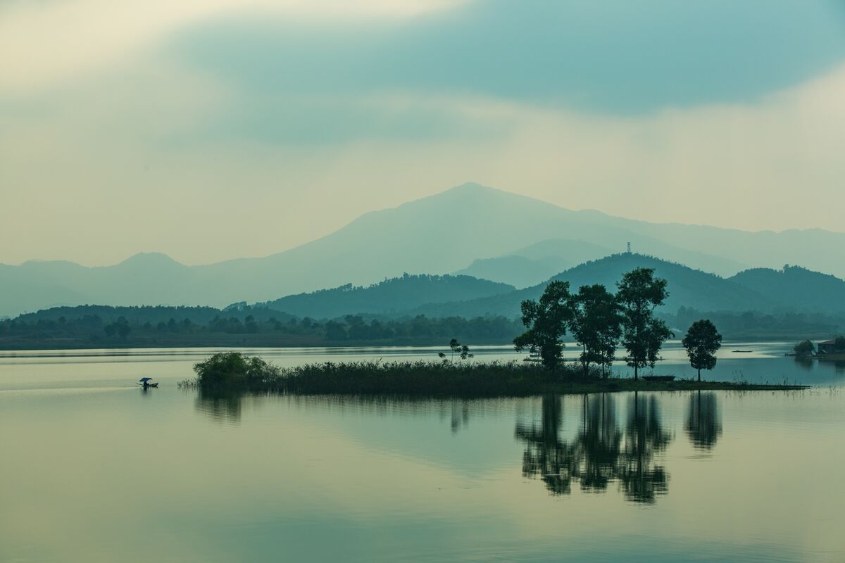 Safari Park Plan Sparks Fresh Wave of Resident Angst in Vietnam