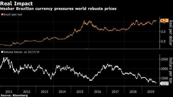 Brazil Expected to Oust Vietnam as World's Top Robusta Coffee Grower