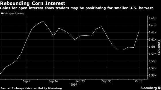 Corn Slumps as U.S. Output Projection Is Bigger Than Expected
