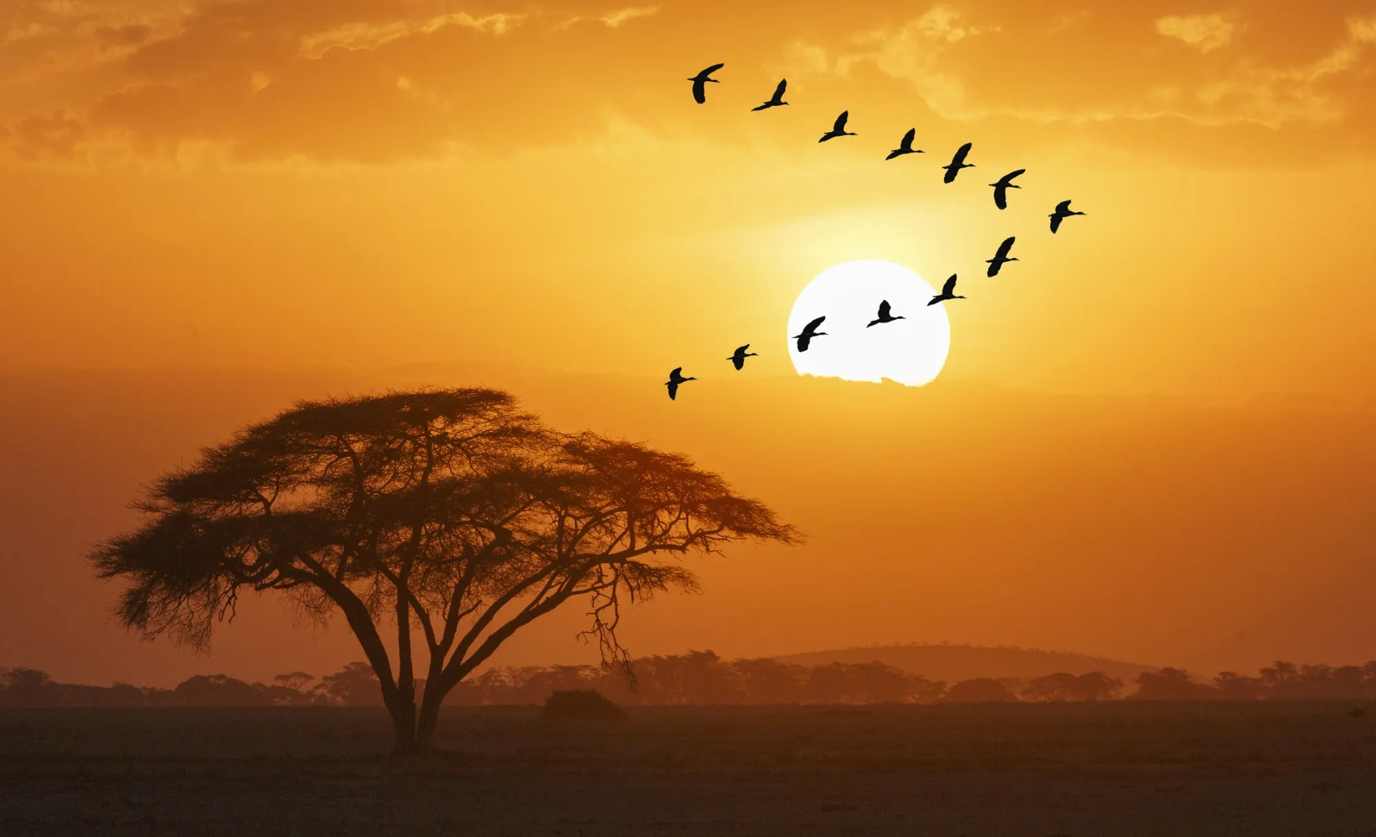 Flying toward our perfect future?