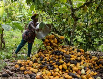 relates to Ghana’s Trade Surplus Remains Pressured by Low Cocoa Output