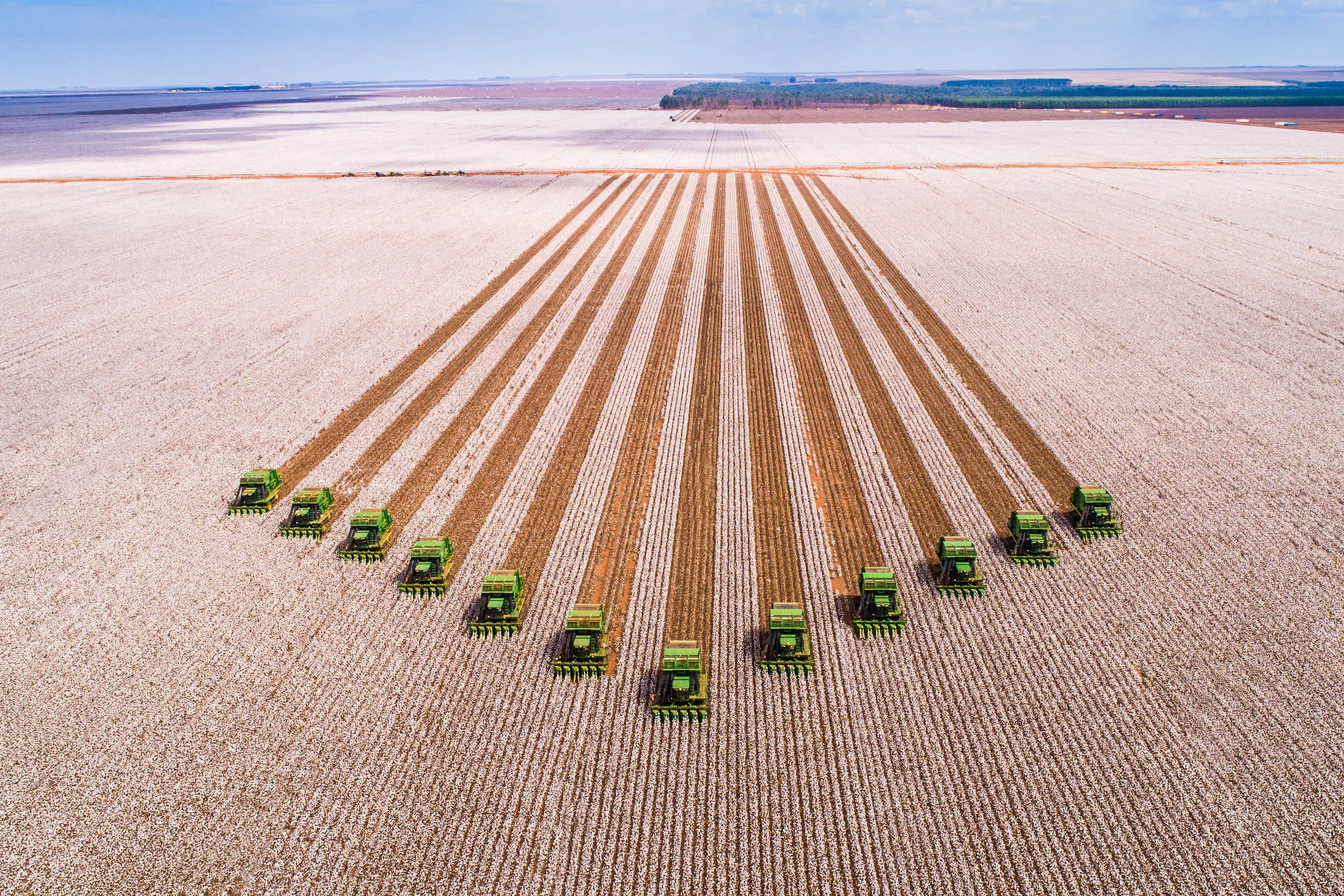 Family Builds $900 Million Brazil Farming Empire After 935% Gain - Bloomberg, image size:2200x1467
