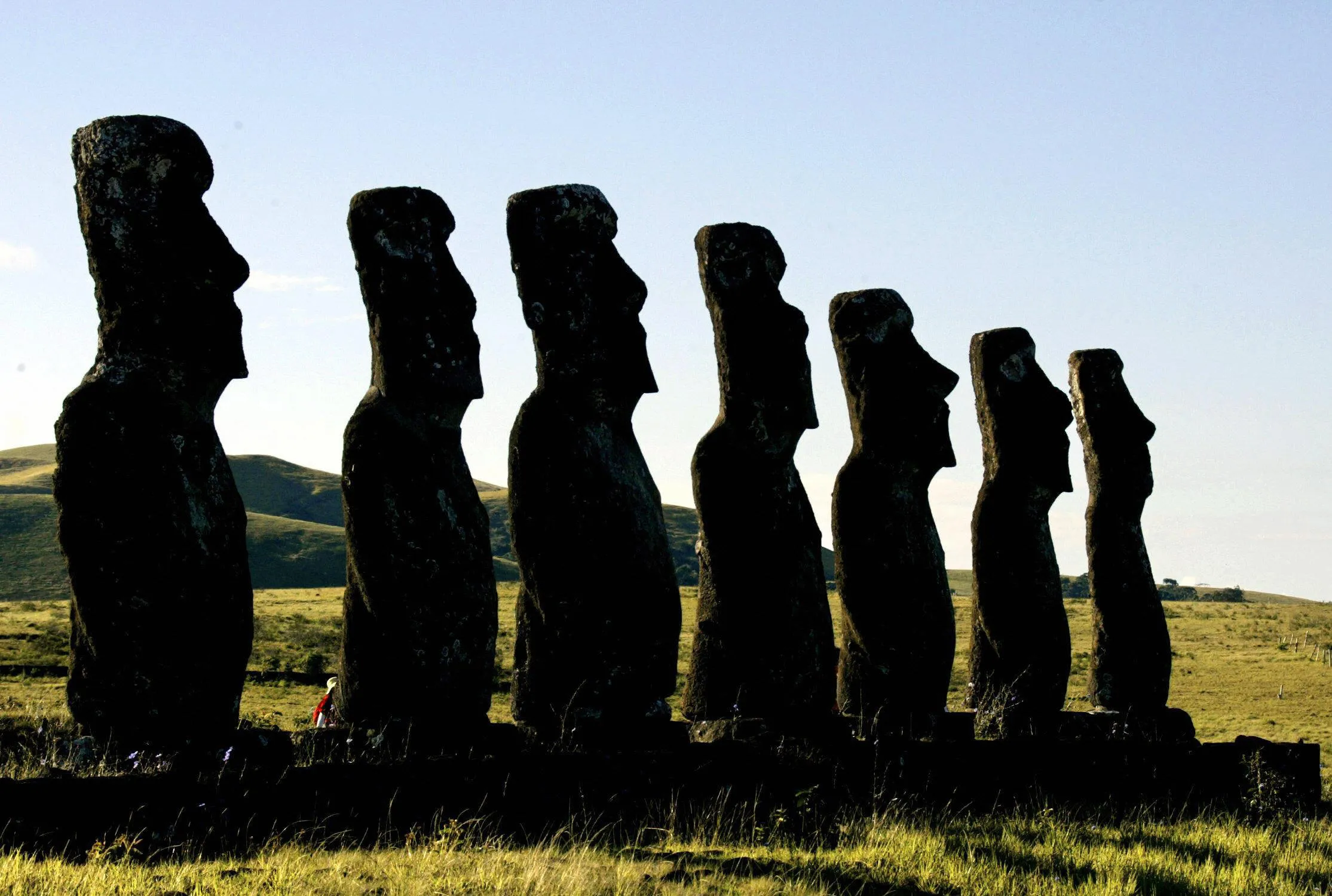 Easter Island Collapse: New Information Suggests a Resilient Society -  Bloomberg