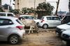 Death and Development: The Town at the Heart of India's Dilemma