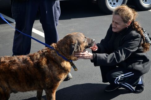 Staten Island Animal Rescue