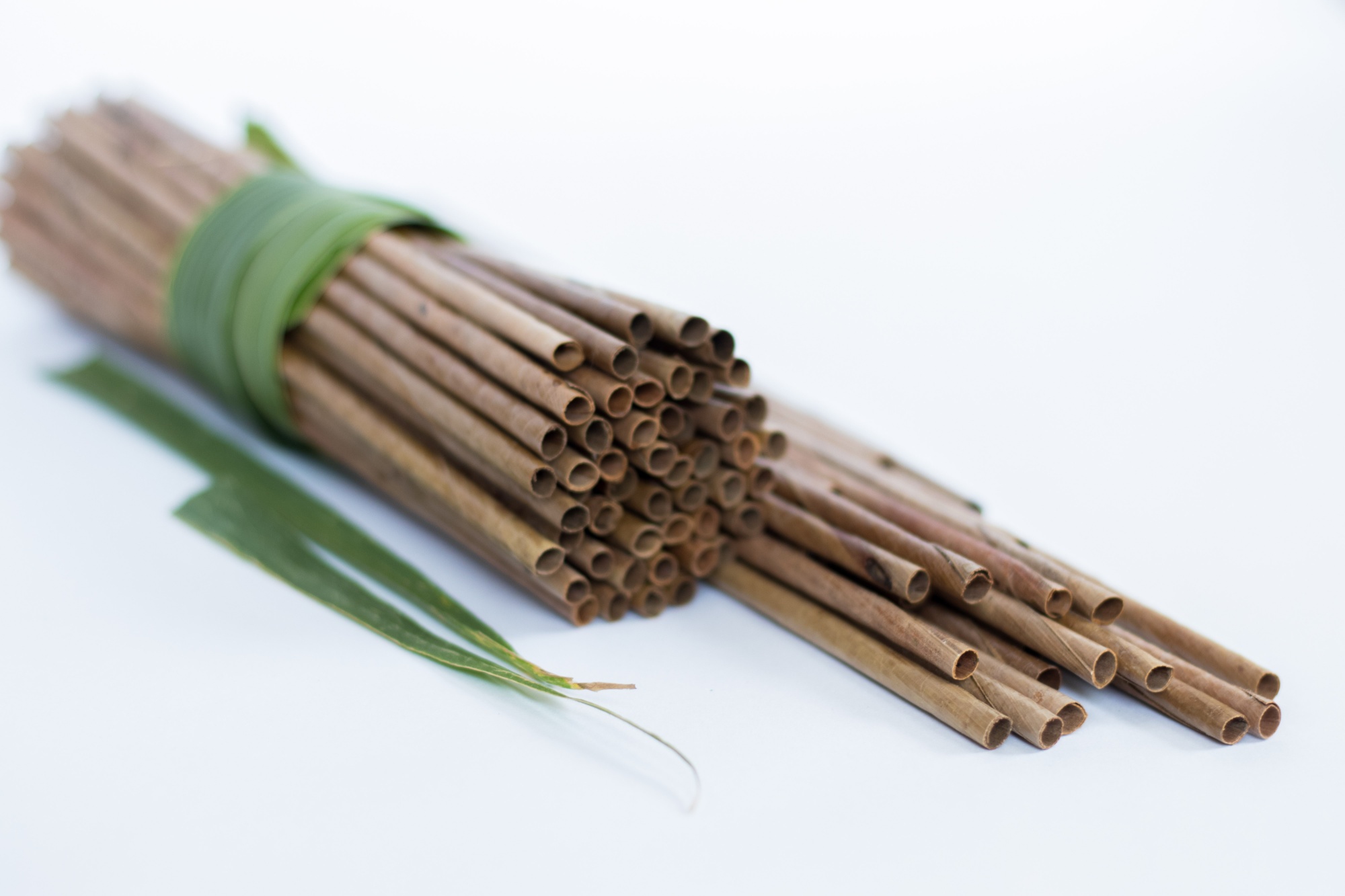 Straws made from coconut palm leaves.