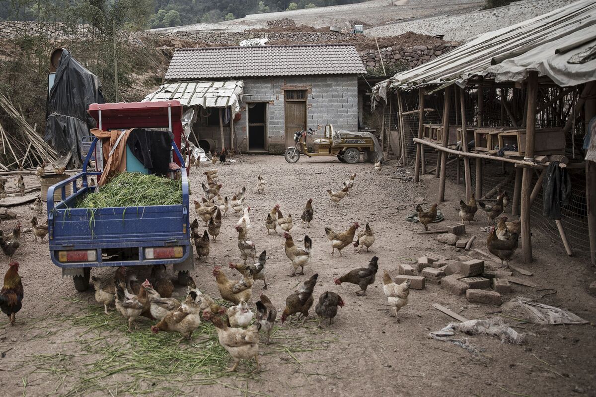 China's Aging Farm Villages Need Reform Now, USDA Economist Says ...