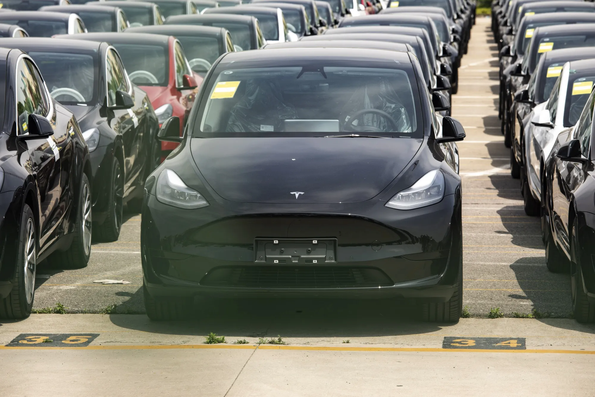Tesla vehicles waiting for shipping&nbsp;near the Waigaoqiao Container Port in Shanghai.&nbsp;