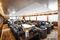 Main Deck Wintergarden