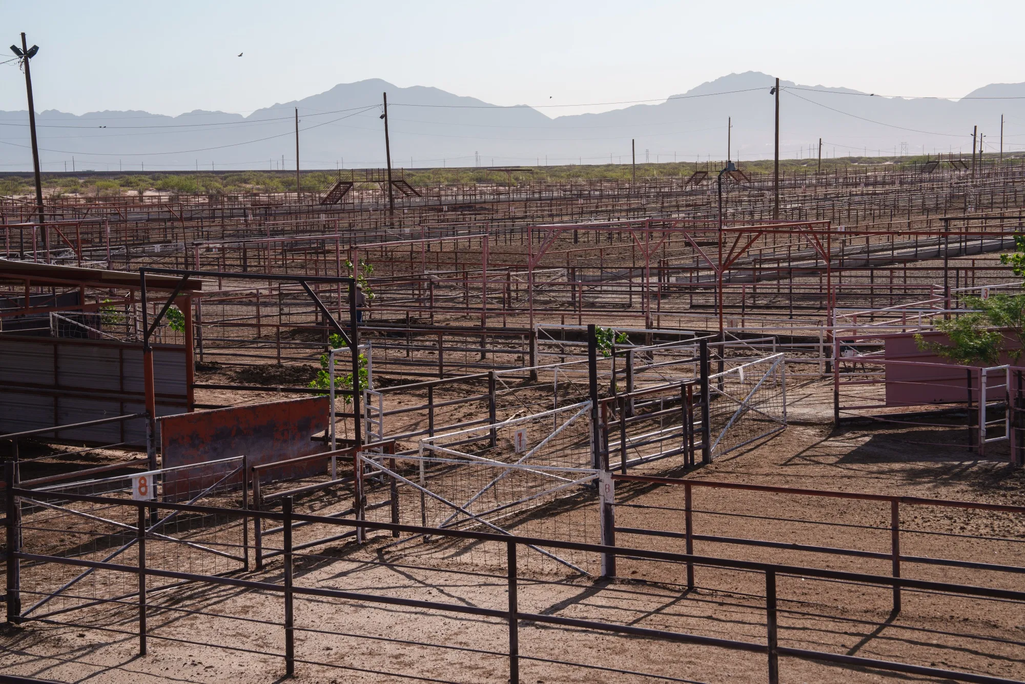 Empty corrals at the Union Ganadera Chihuahua cattle import facility in Santa Teresa, New Mexico in June.