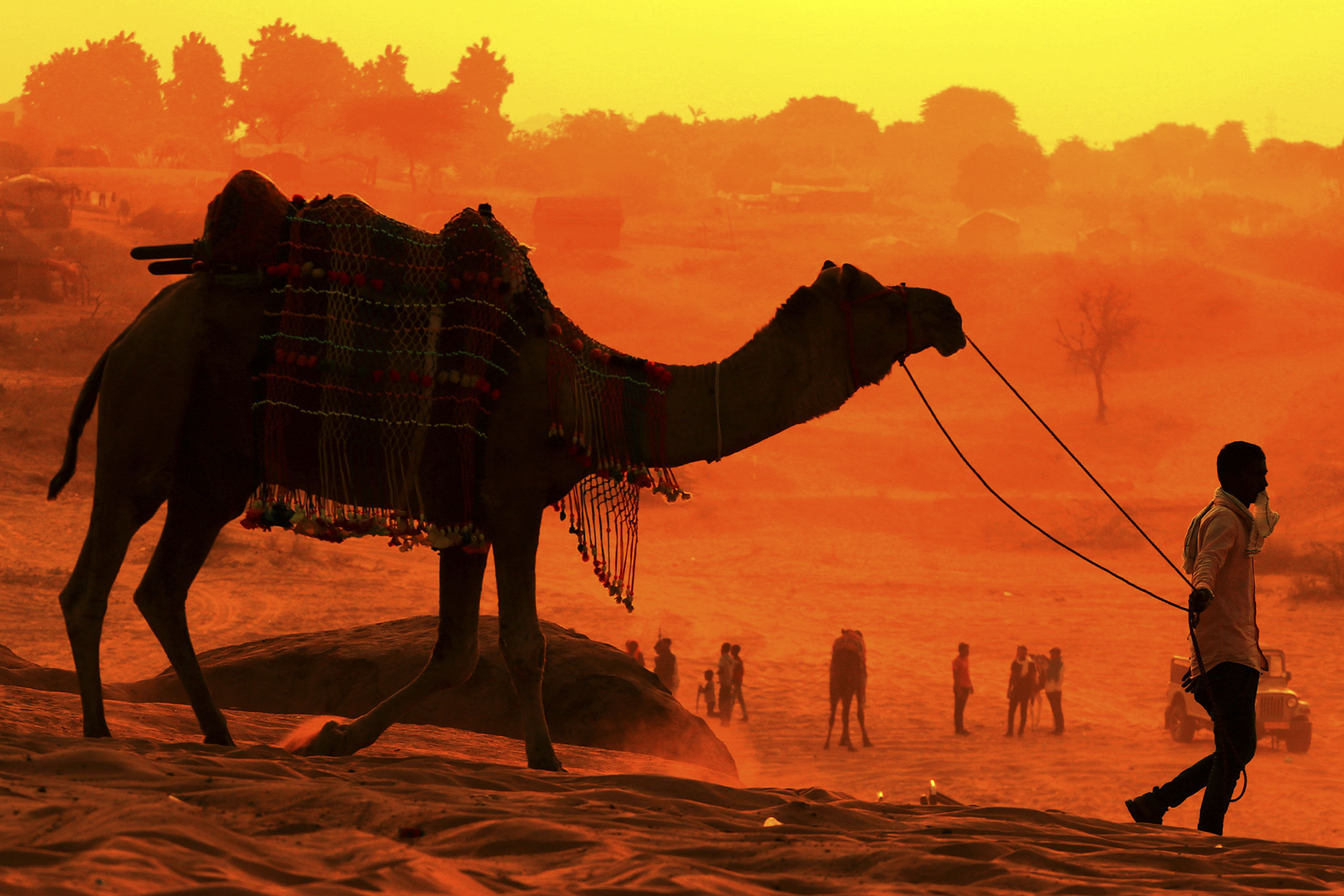 A man walks with his camel at the desert of Pushkar, in the Indian state of Rajasthan on 29 October 2020.