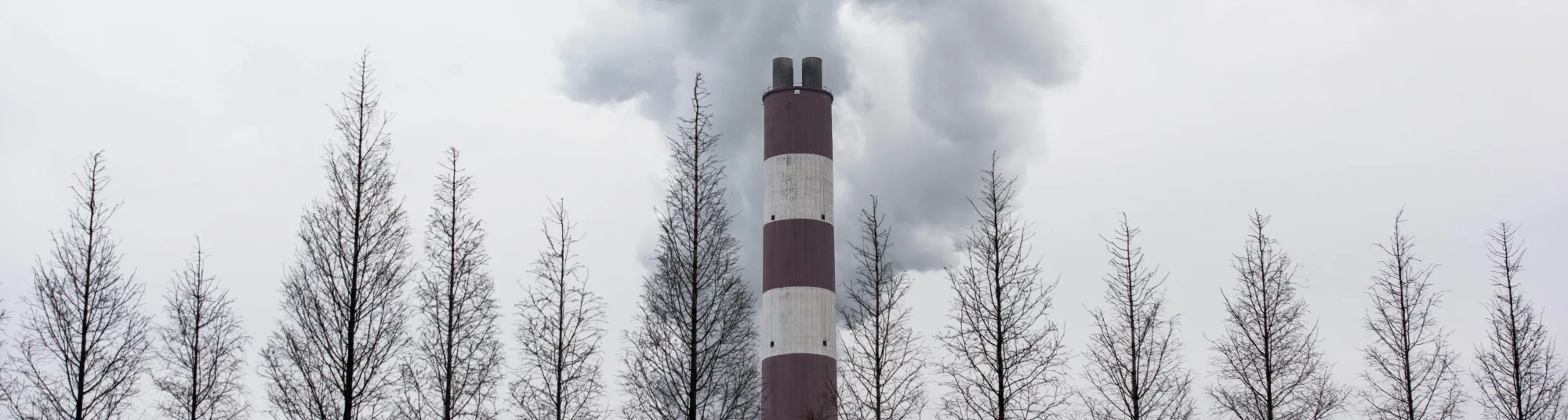 Environmental watchdog Greenpeace warned on March 22 the worlds coal plants are deepening the global water crisis as the water consumed by them can meet the basic needs of one billion people. / AFP / JOHANNES EISELE (Photo credit should read JOHANNES EISELE/AFP/Getty Images)
