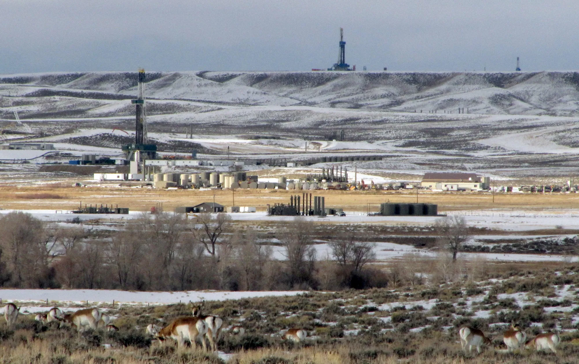 In this Jan. 22, 2010 photo, antelope graze not far from gas drilling rigs in western Wyoming's Upper Green River Basin.
