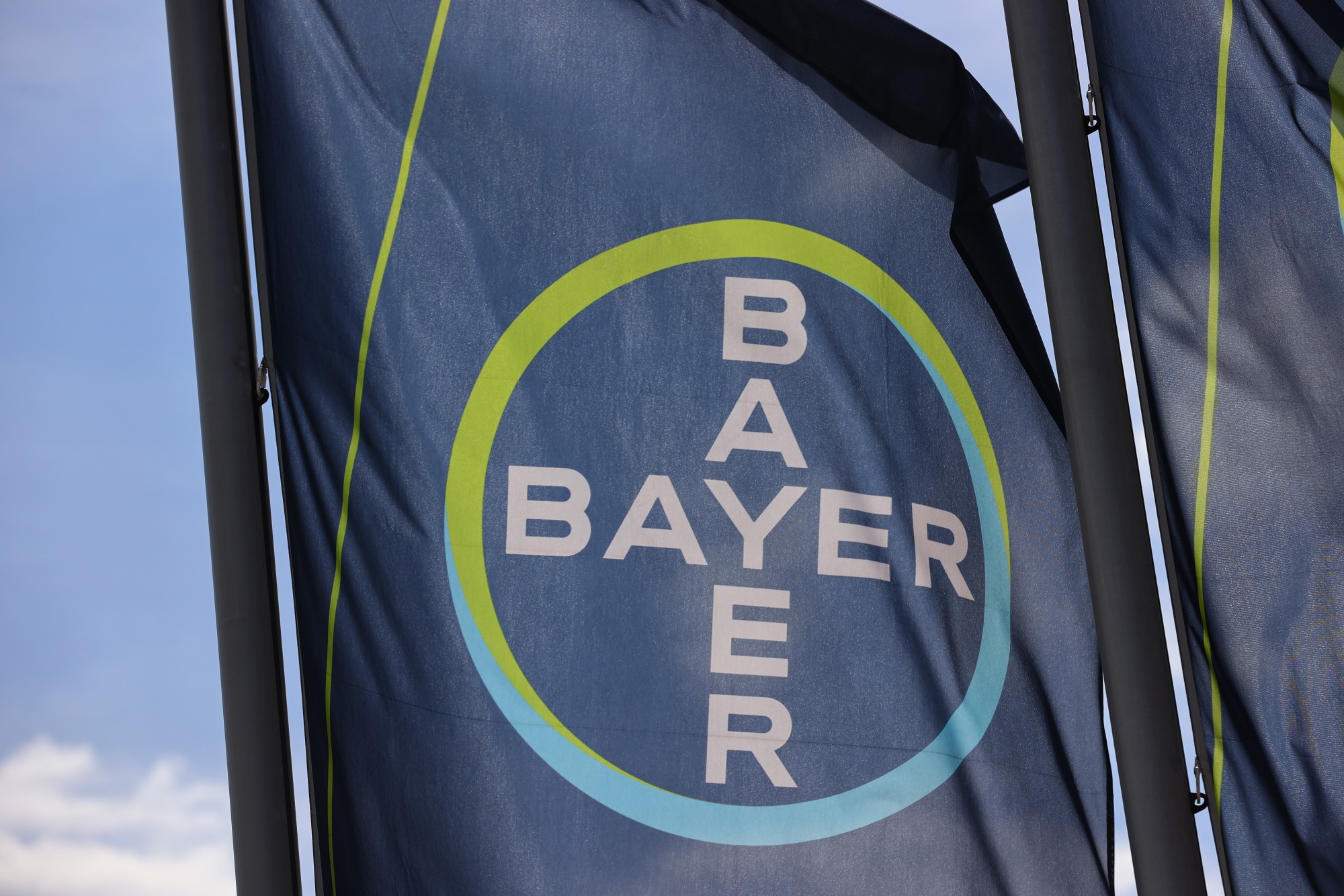 Bayer Thrombosis Drug Asundexian Shows Positive Study Result - Bloomberg