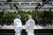 Inside CannTrust Holdings Inc. Niagara Perpetual Harvest Greenhouse As Big Money Tests Marijuana Waters
