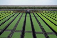 farming farmer florida