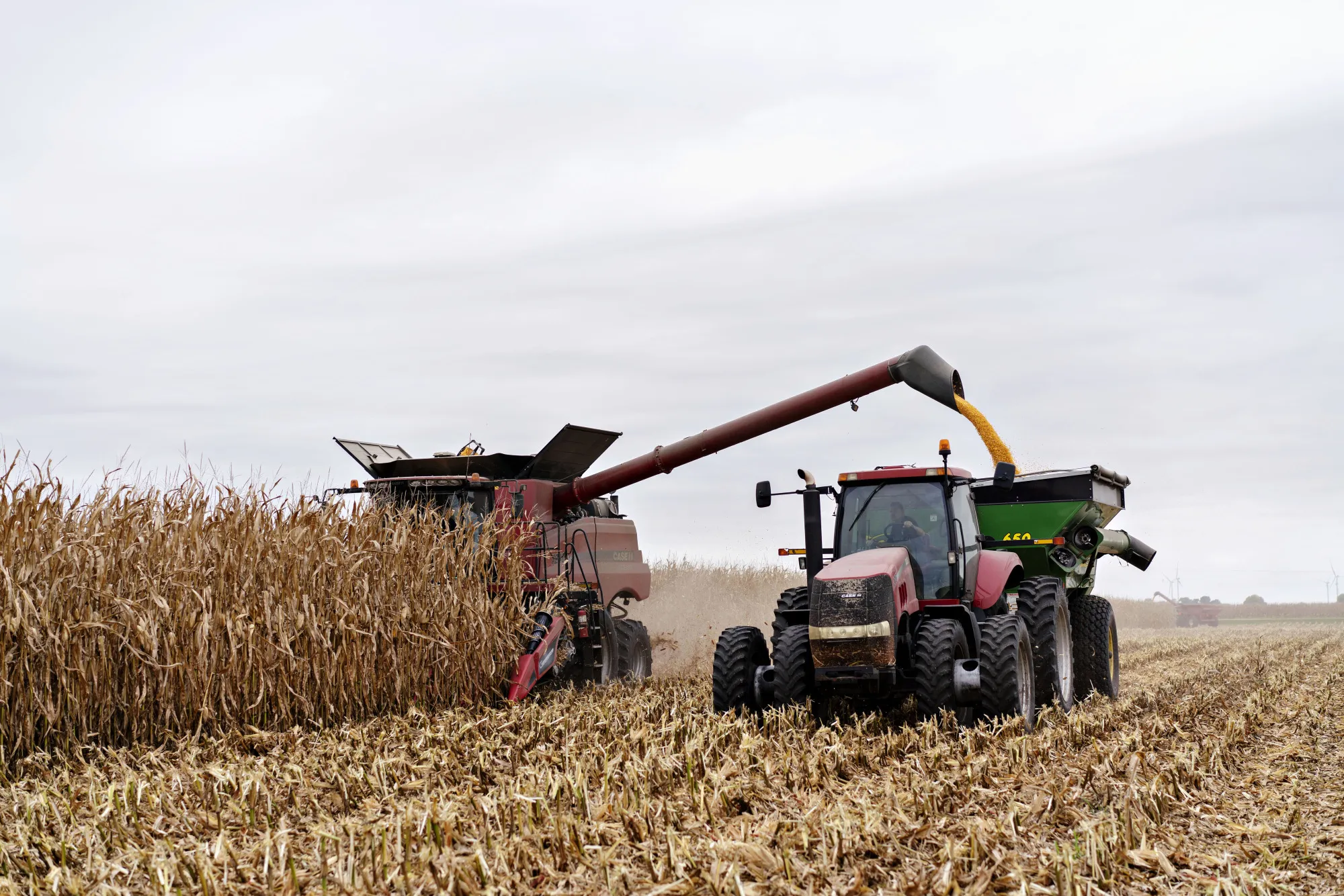 Corn is unloaded from a &nbsp;combine harvester outside Walnut, Illinois.