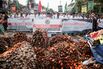 INDONESIA-ECONOMY-PALM OIL-PROTEST