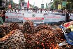 Indonesian oil palm farmers' association protesters&nbsp;in Jakarta on May 17.