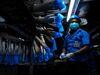 Top Glove拥有21,000多名员工，每年在750条生产线上生产900亿只手套。
