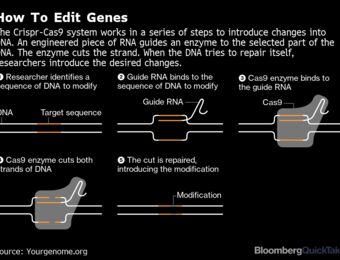 relates to What Is Crispr, the DNA Editing Tool Behind the New Sickle Cell Therapy
