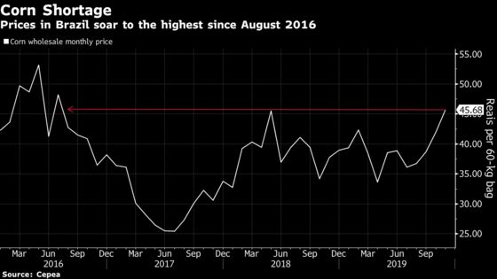 Surging Brazil Prices May Finally Make U.S. Corn More Attractive