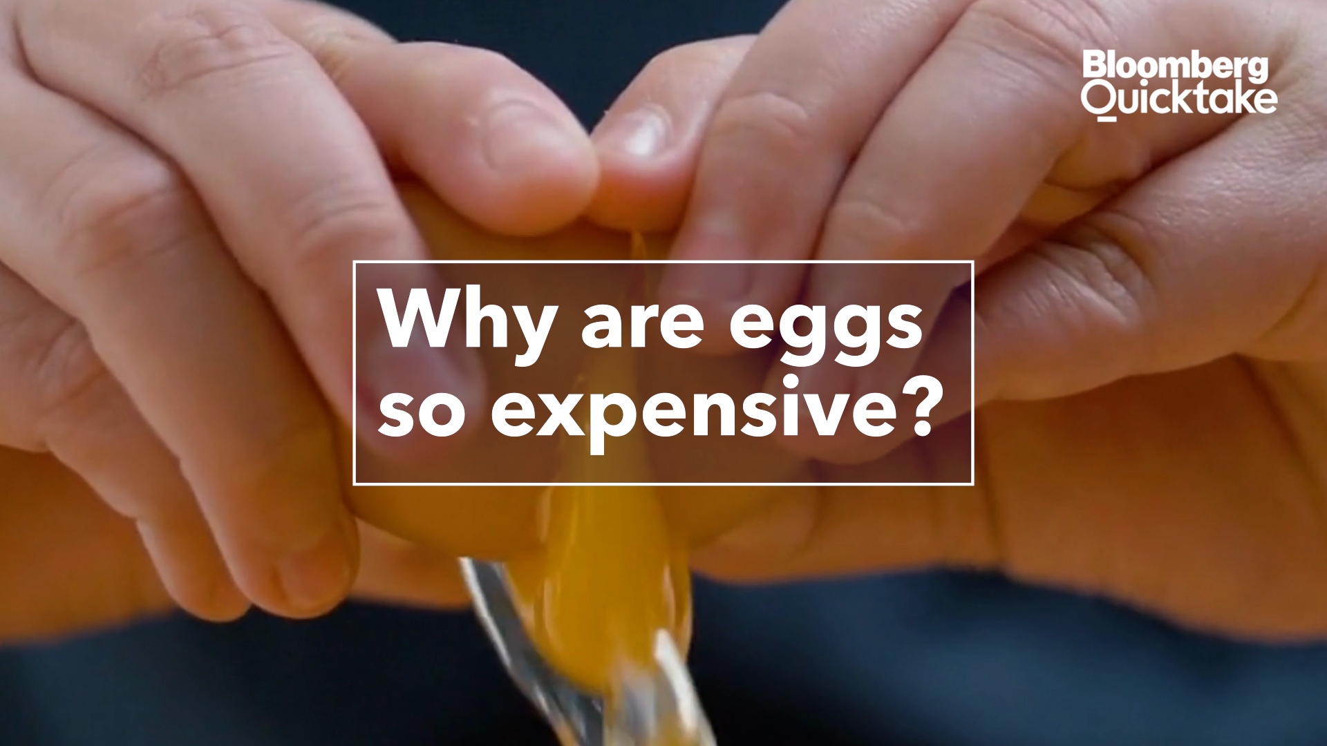 Watch Why are Eggs so Expensive? Bloomberg